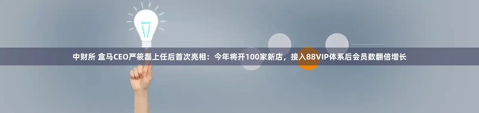 中财所 盒马CEO严筱磊上任后首次亮相：今年将开100家新店，接入88VIP体系后会员数翻倍增长