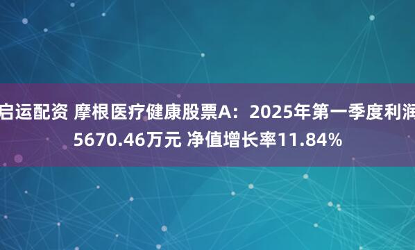 启运配资 摩根医疗健康股票A：2025年第一季度利润5670.46万元 净值增长率11.84%