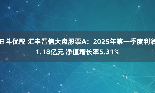 日斗优配 汇丰晋信大盘股票A：2025年第一季度利润1.18亿元 净值增长率5.31%